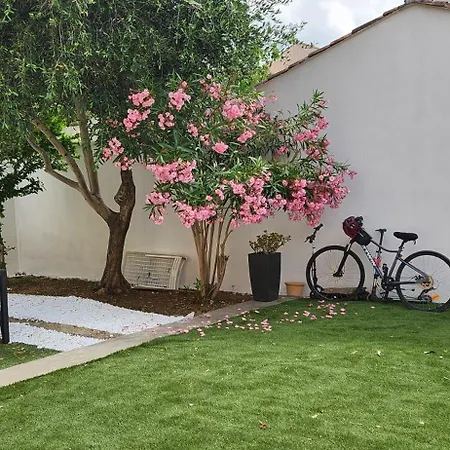 Papillons Centre * Narbona