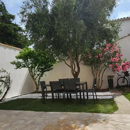 Papillons Centre Villa Narbona